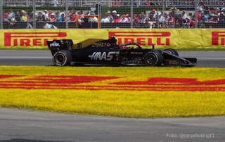 domingo en canada haas