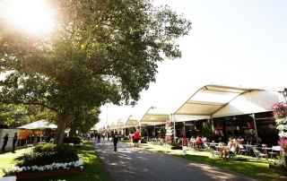 Las carreras no se cancelarán si se detecta un positivo por Covid-19 en el paddock