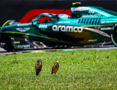 Fernando Alonso: “En Brasil suelen pasar cosas, no hay que perder la esperanza”